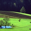 Im Mühlviertel