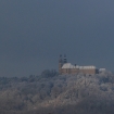 dpp_0681