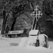 dpp_0683