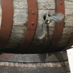 Abflug