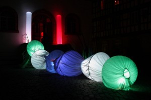 IMG_9778